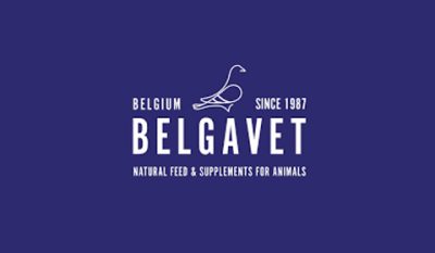 Belgavet