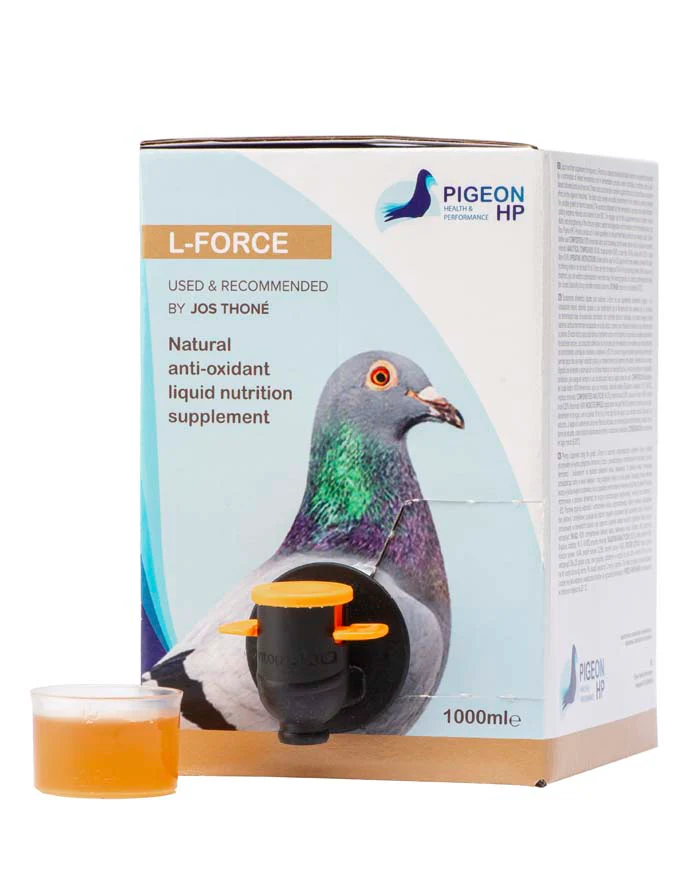 L-Forceweb_1024x1024