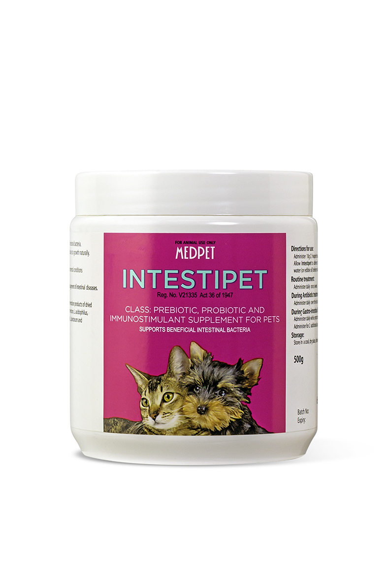 031_Intestapet-lr MEDPET INTESTIPET 500G - Image 1
