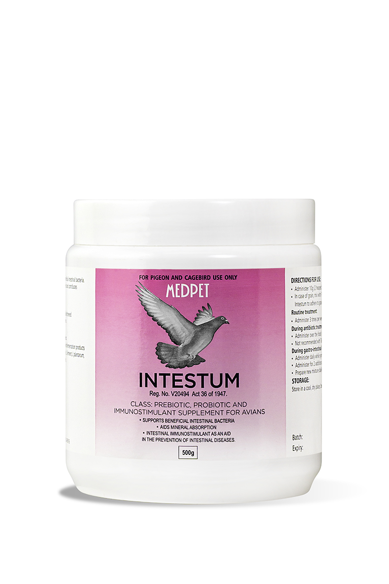 094_Intestum-500g-lr MEDPET INTESTUM 500G - Image 1