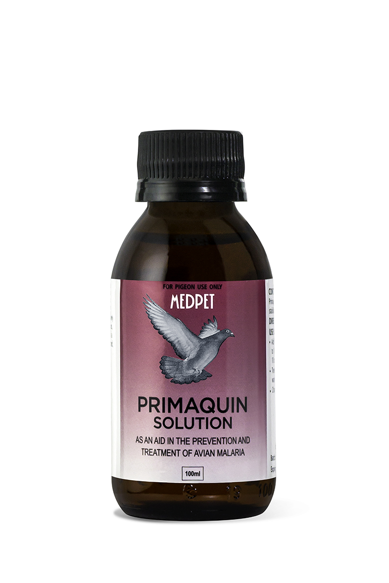 116_Premaquin-Solution-lr MEDPET PRIMAQUIN 100ML - Image 1