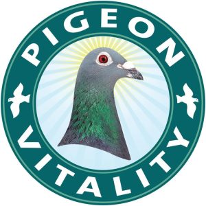 Pigeon Vitality