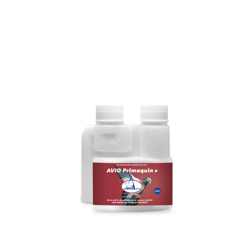 Aviomed-labels-redesign-dev9-render-Avio-Primaquin-800x800 AVIO PRIMAQUIN 100ML - Image 1