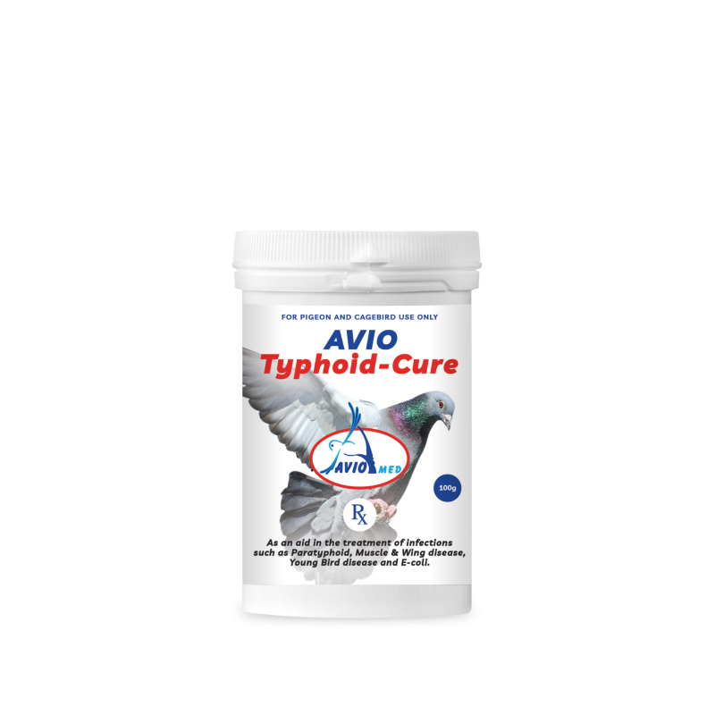 Aviomed-labels-redesign-dev9-render-Avio-Typhoid-Cure-800x800 AVIO TYPHOID CURE 100G - Image 1