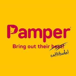 Pamper