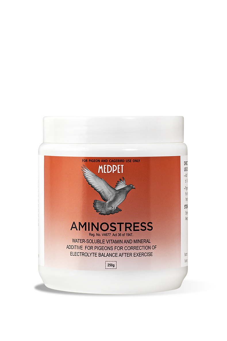 091_aminostress-250g-lr.jpg MEDPET AMINOSTRESS 250G - Image 1