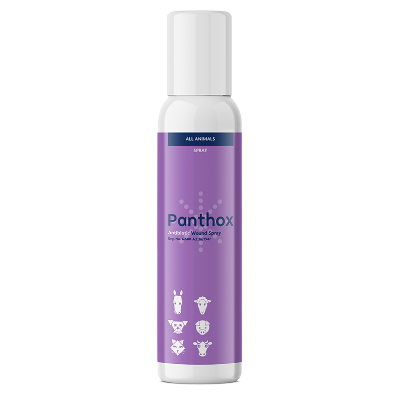 panthox-200ml.jpg PANTHOX WITH GENT VIOLET 200ML (KYRON) - Image 1