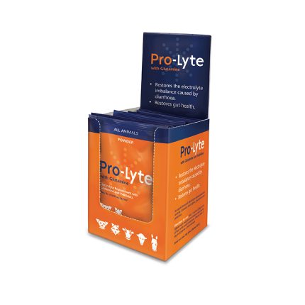 PROLYTE WITH GLUTAMINE 20G (KYRON)