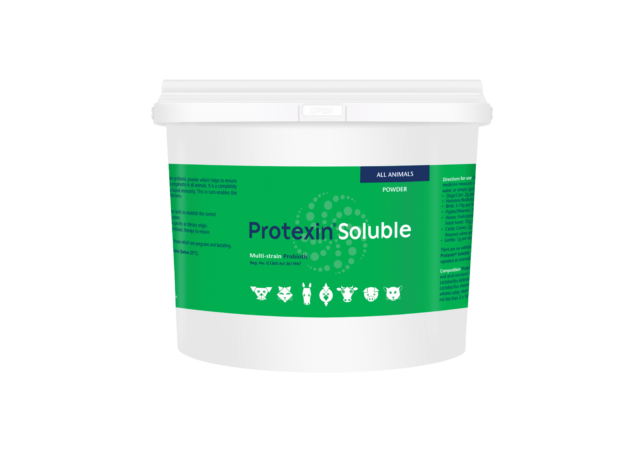 protexin-soluble-1kg-nbg-640x451.png PROTEXIN SOLUBLE 1KG (KYRON) - Image 1