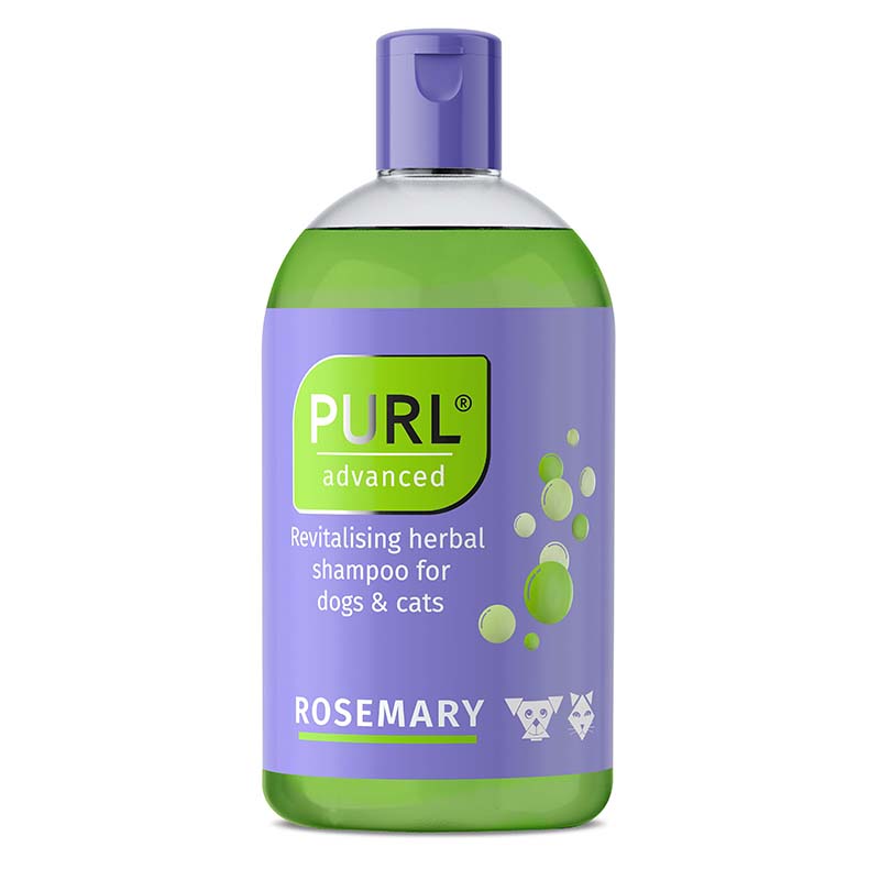 purl-advanced-rosemary-250ml.jpg PURL ROSEMARY OIL SHAMPOO 250ML (KYRON) - Image 1