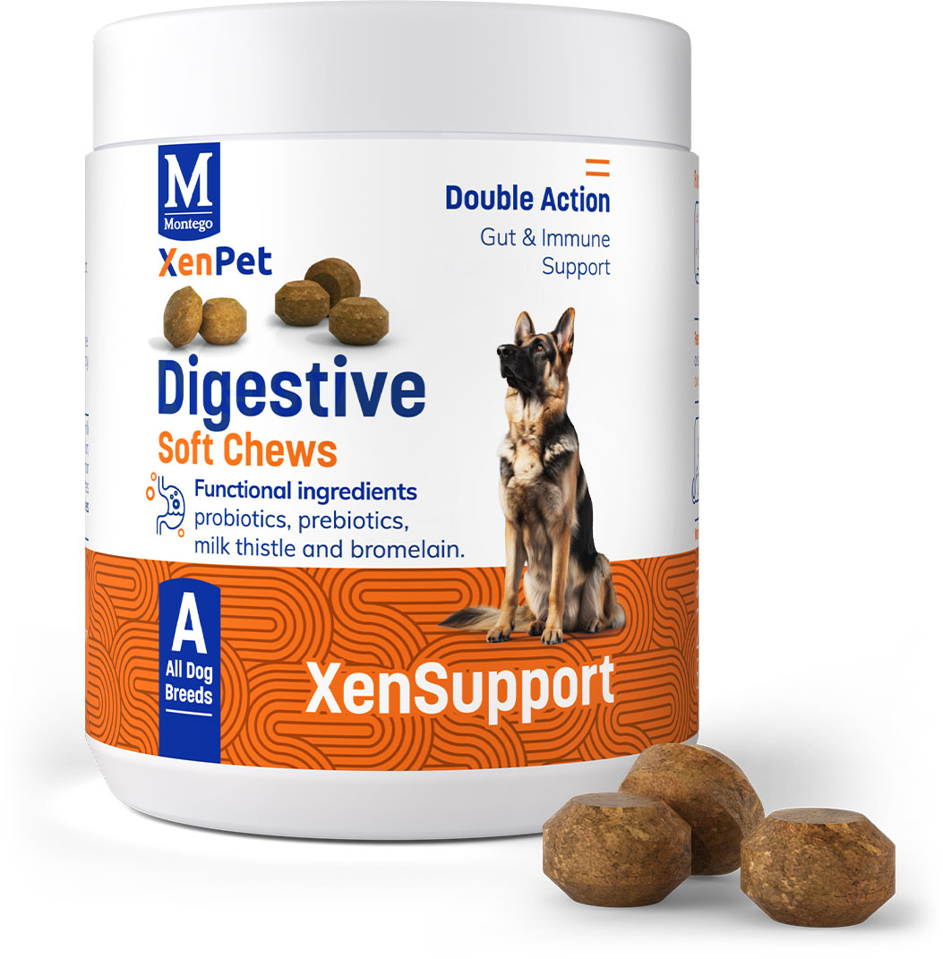 xenpet-supplements-digestive-supp-2.jpg MONTEGO XENPET DIGESTIVE CHEWS 240G - Image 1