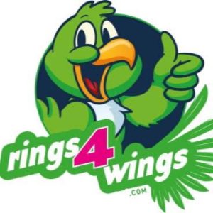 Rings 4 Wings