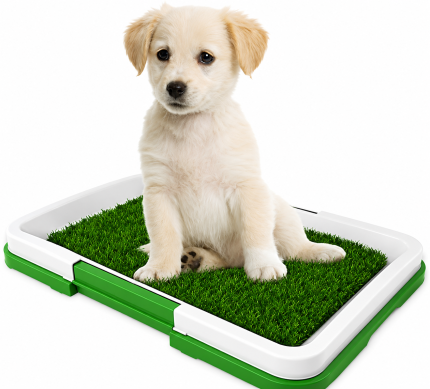 DOG LAWN TOILET SMALL 510X640