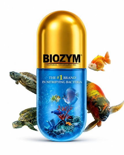 BIOZYM NITRIFYING BACTERIA CAPS