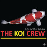 The Koi Crew