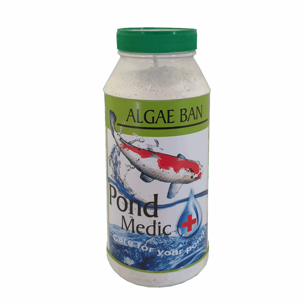 pm0152-e1750337878727.png POND MEDIC ALGAE BAN 1KG - Image 1