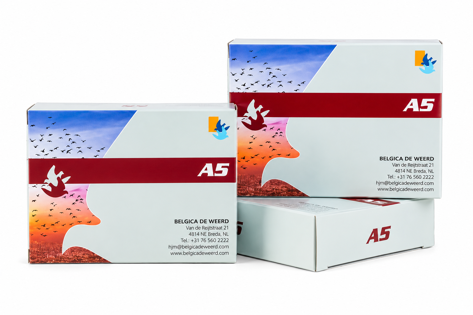 24e63ce1-a71c-4c43-af32-1c7d895783c7.png BELGICA AS 5G - Image 1