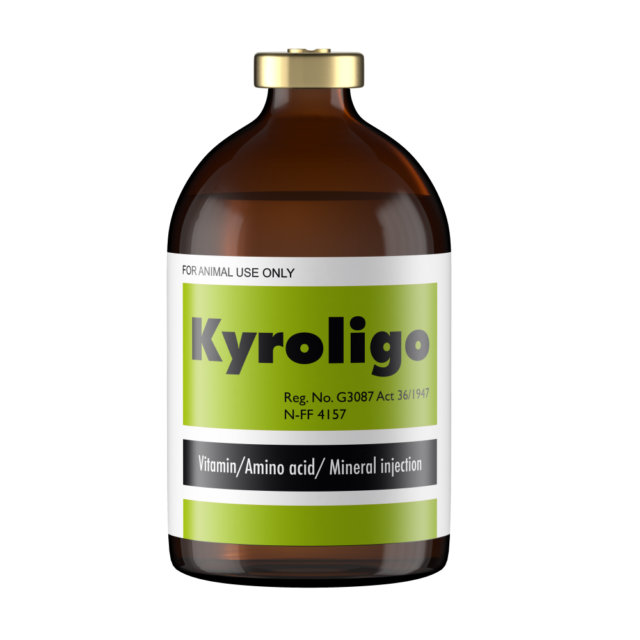 kyroligo-100ml-web-640x640.png KYROLIGO INJ 100ML (KYRON) - Image 1