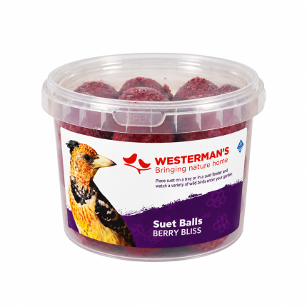 WESTERMANS SUET BALLS 25PC (BERRY)